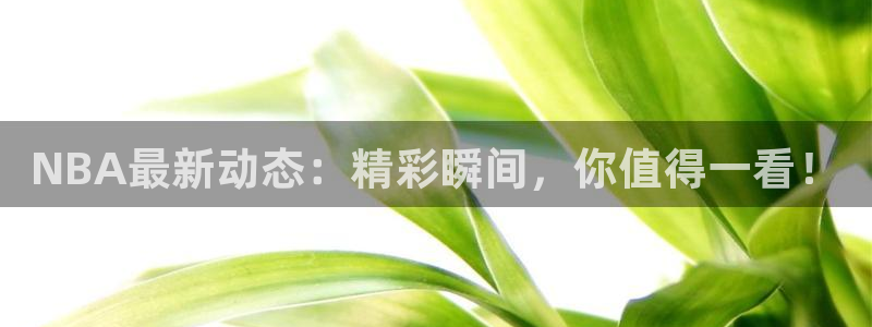 NBA最新动态：精彩瞬间，你值得一看！