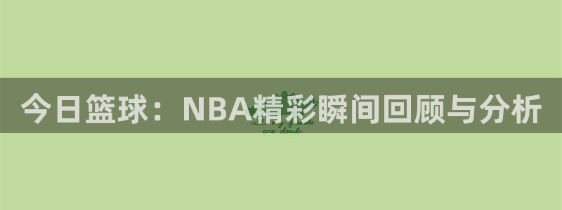 今日篮球：NBA精彩瞬间回顾与分析